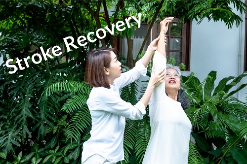 how to recover from a stroke | how to heal a stroke