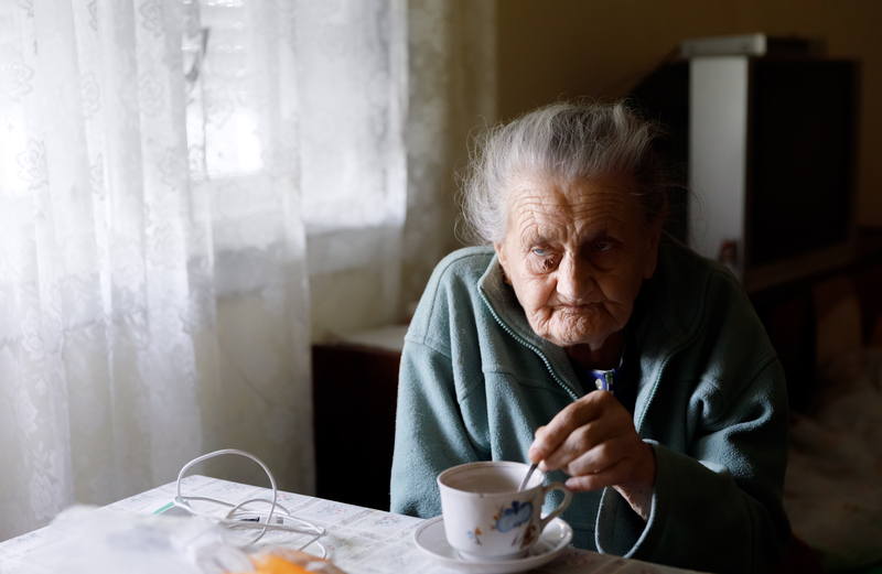 Ways to Help Elderly Parents Avoid Loneliness