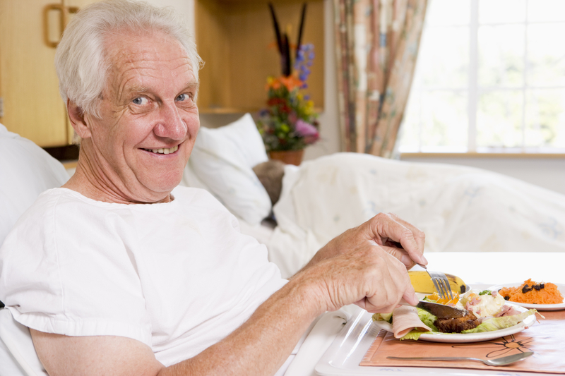 meal plan for senior citizens