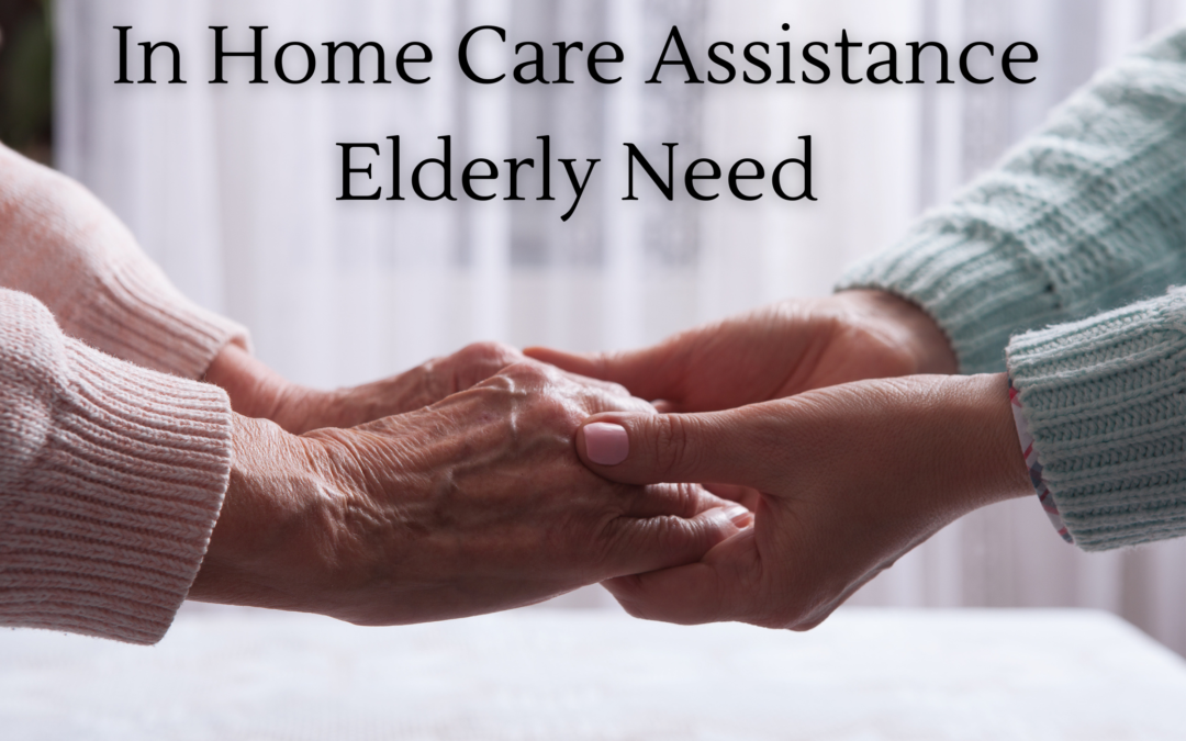 In Home Care Assistance Elderly Need
