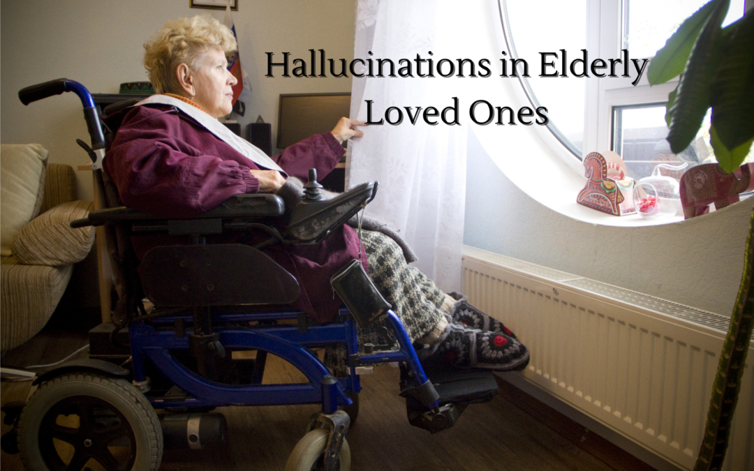 Hallucinations in Elderly Loved Ones