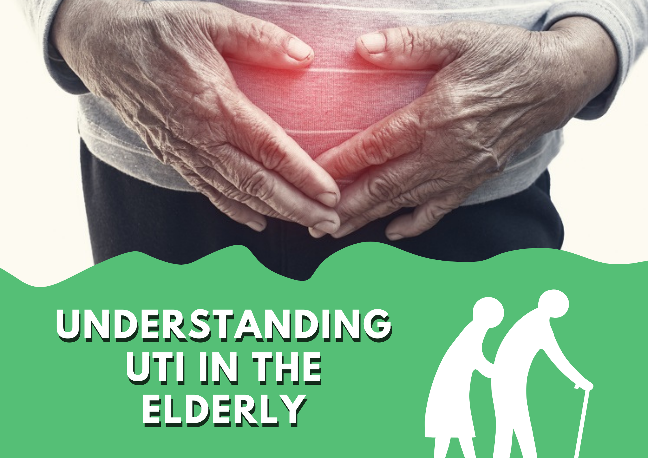understanding uti in the elderly