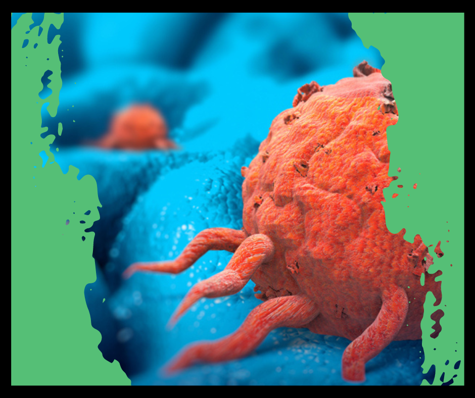 cancers, degenerative changes with age